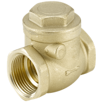 TFU005 Swing Check Valve